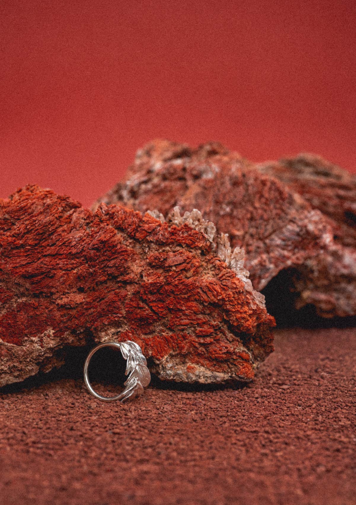 Anillo grande Acàcia de plata con baño de oro amarillo