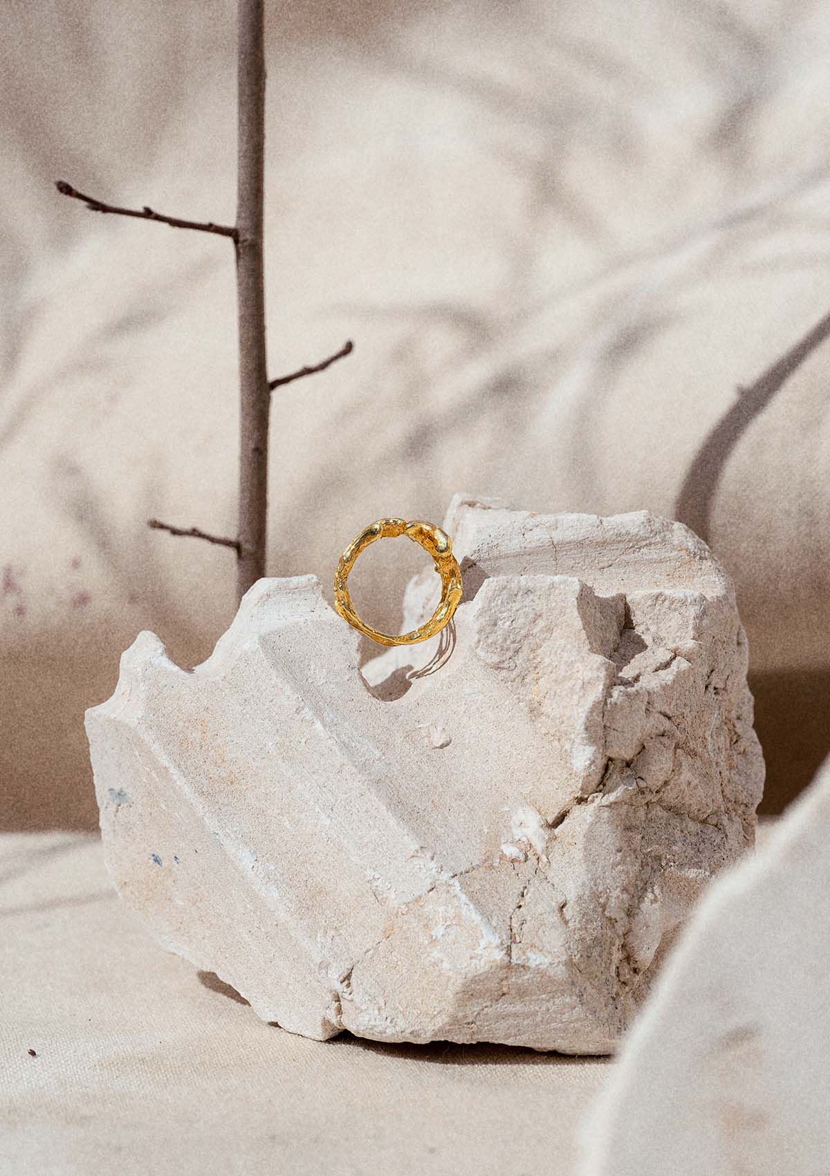 Anillo grande Branques de plata