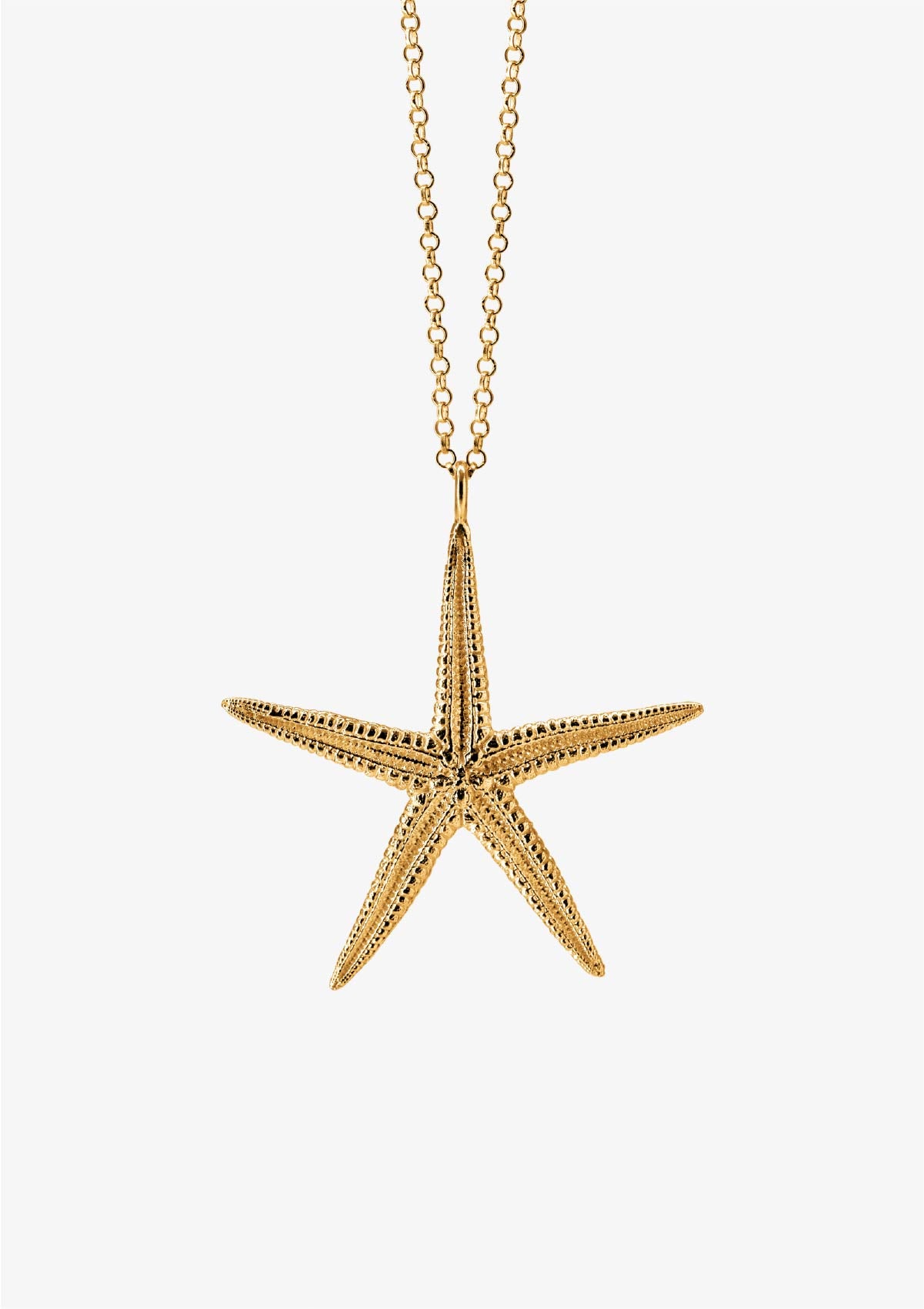 Colgante grande Pèlag de plata con baño de oro amarillo