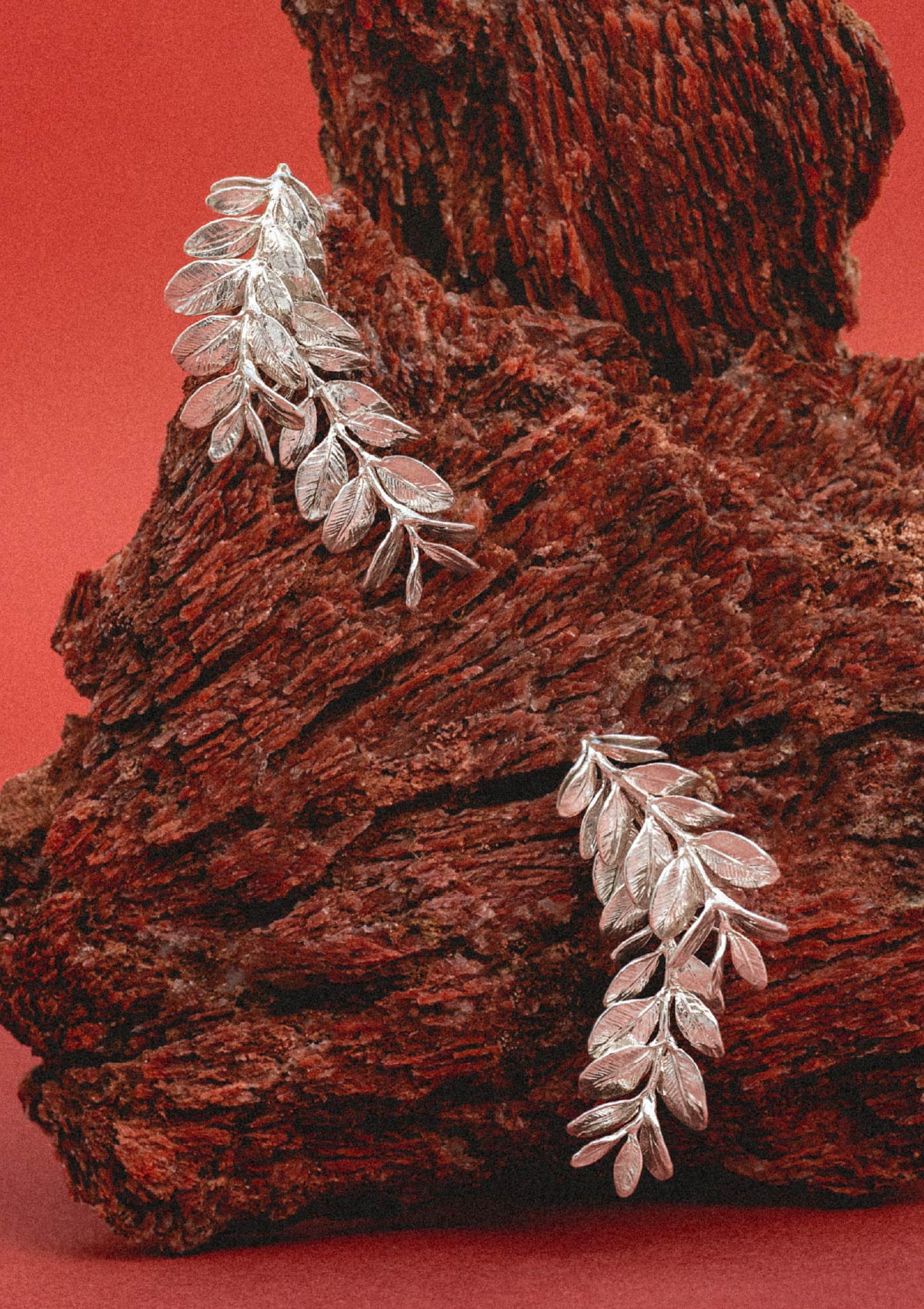 Pendientes grandes Acàcia de plata