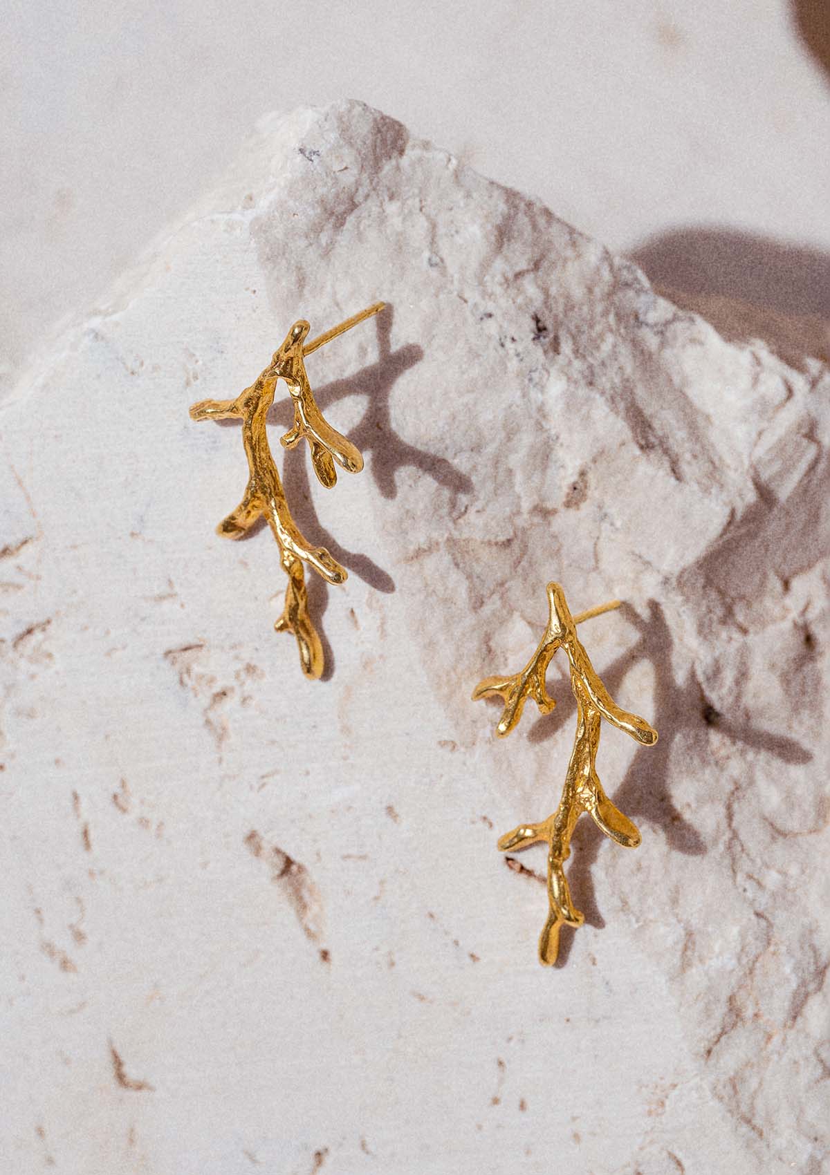 Pendientes medianos Branques de plata