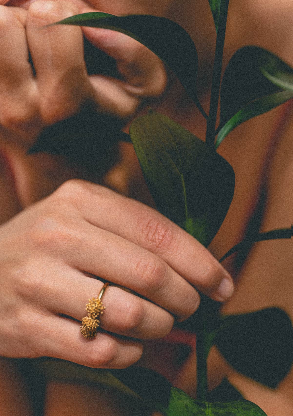 Anillo grande Amarant de plata con baño de oro amarillo