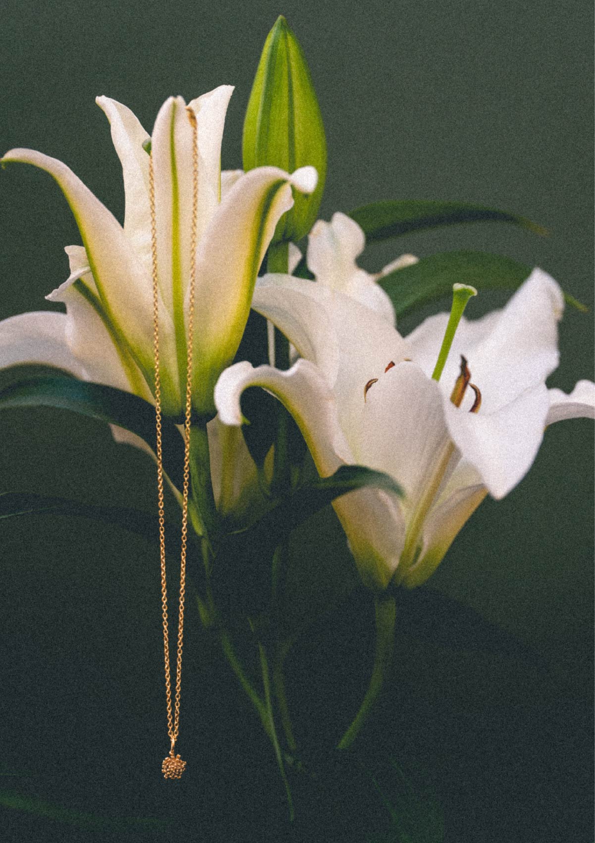 Colgante pequeño Amarant de plata