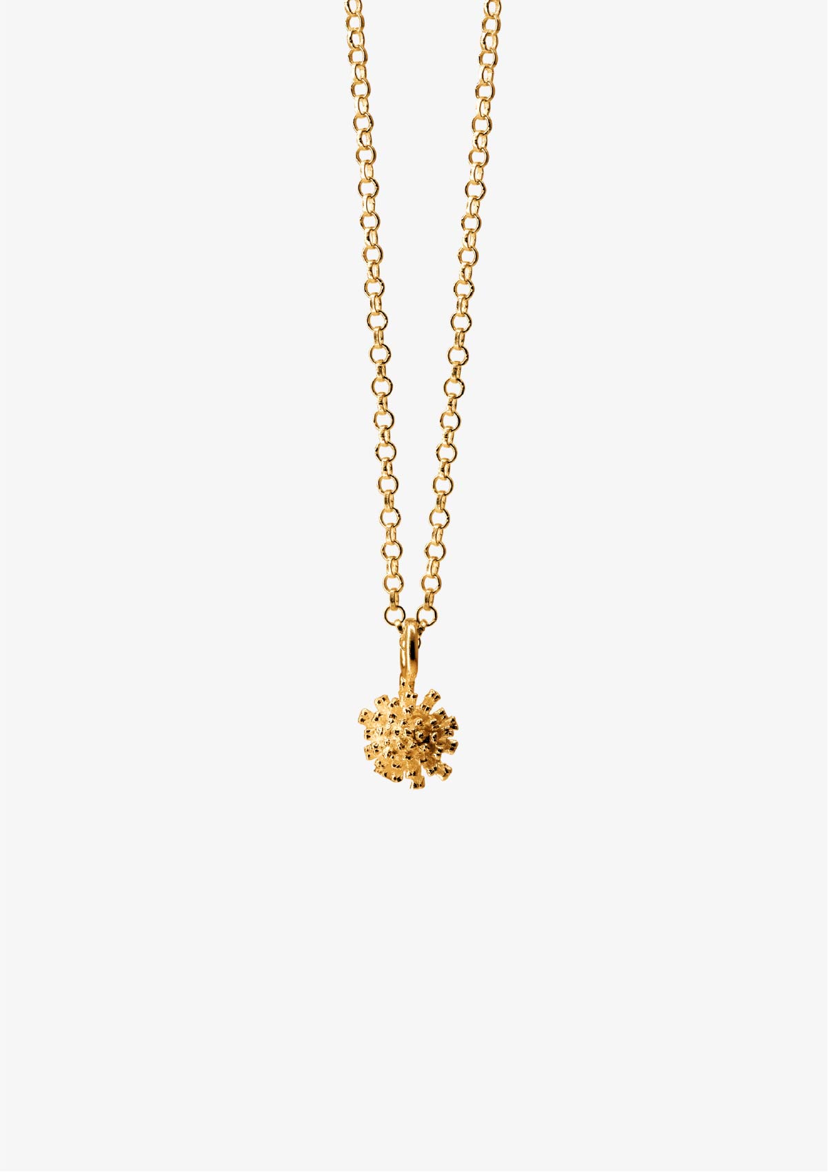 Colgante pequeño Amarant de plata con baño de oro amarillo