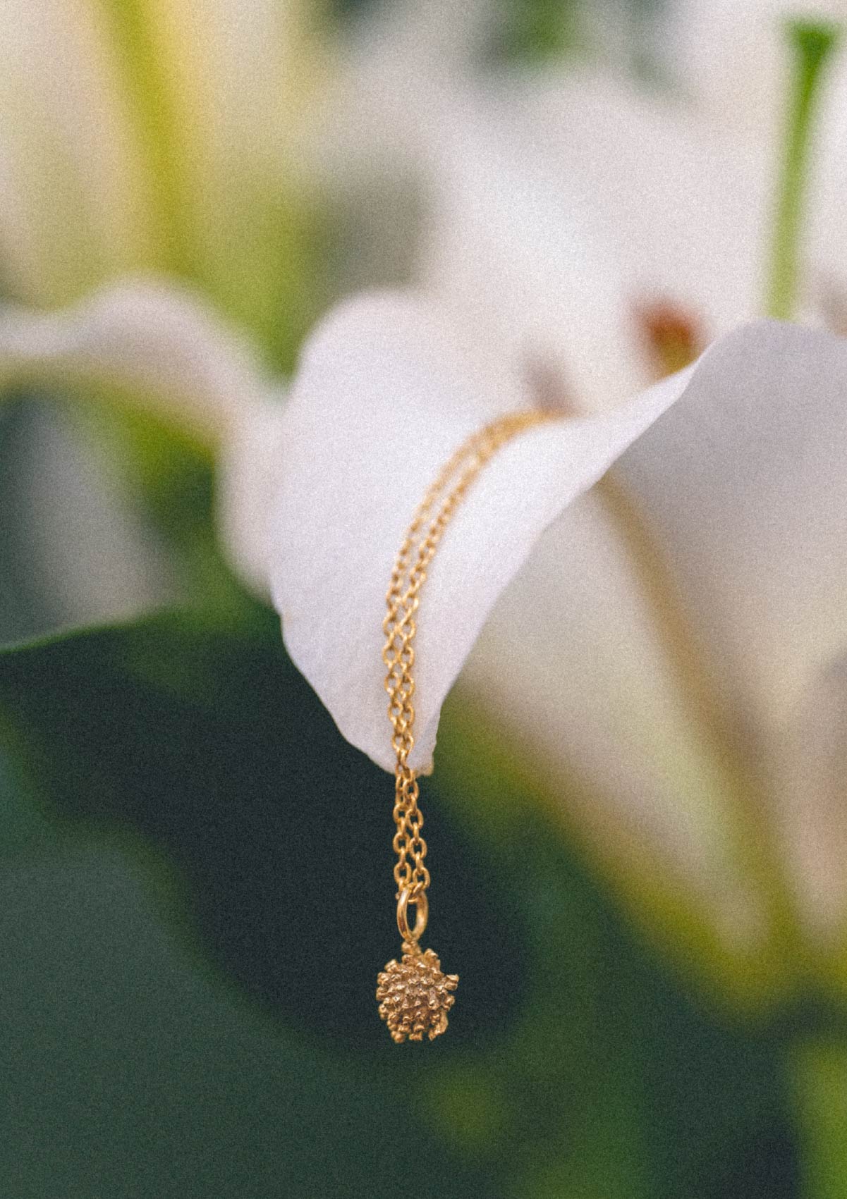 Colgante pequeño Amarant de plata con baño de oro amarillo