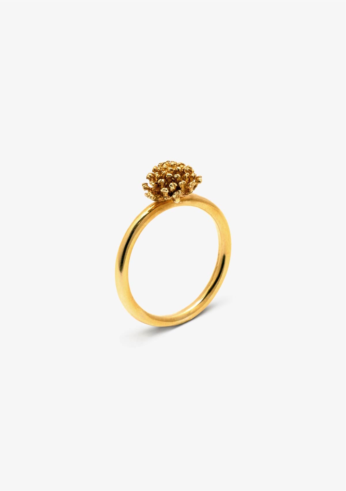 Anillo pequeño Amarant de plata con baño de oro amarillo