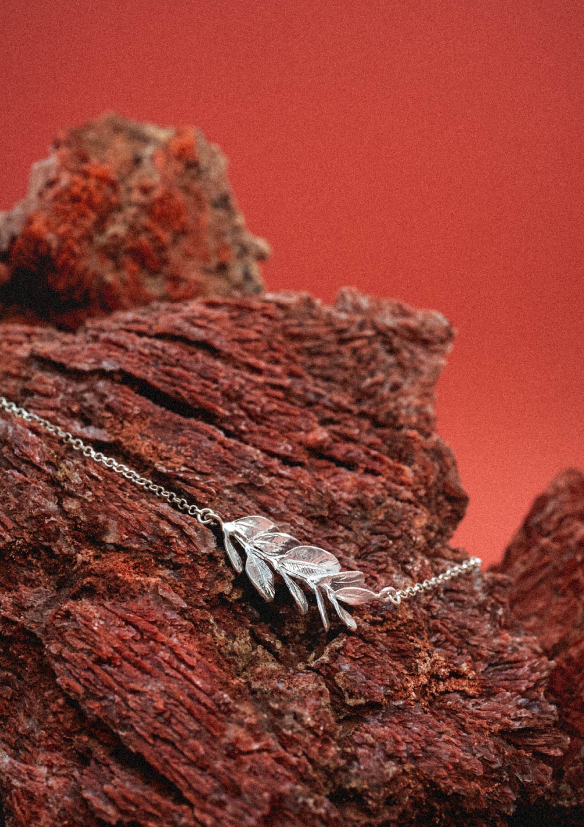 Pulsera mediana Acàcia de plata