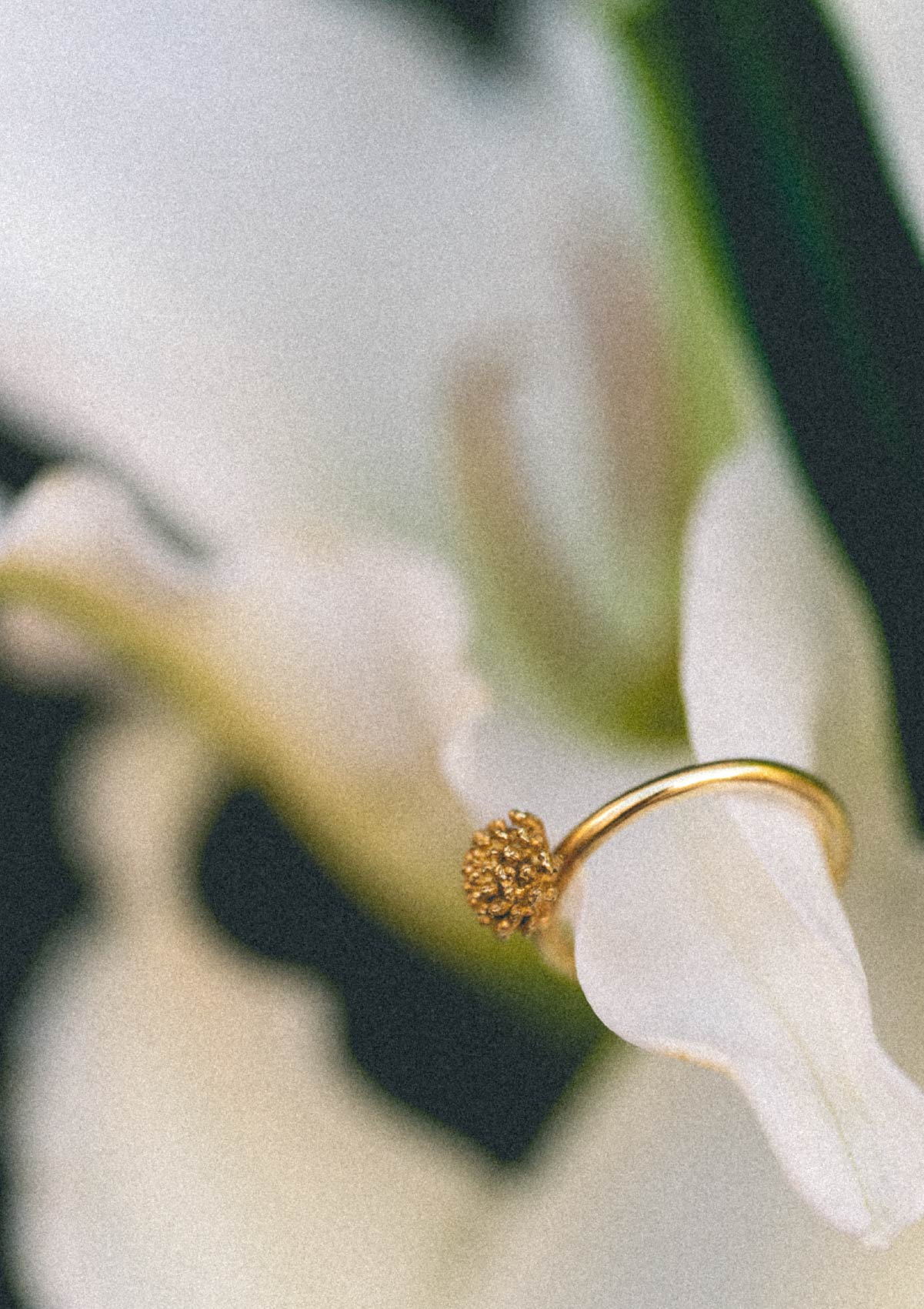 Anillo pequeño Amarant de plata