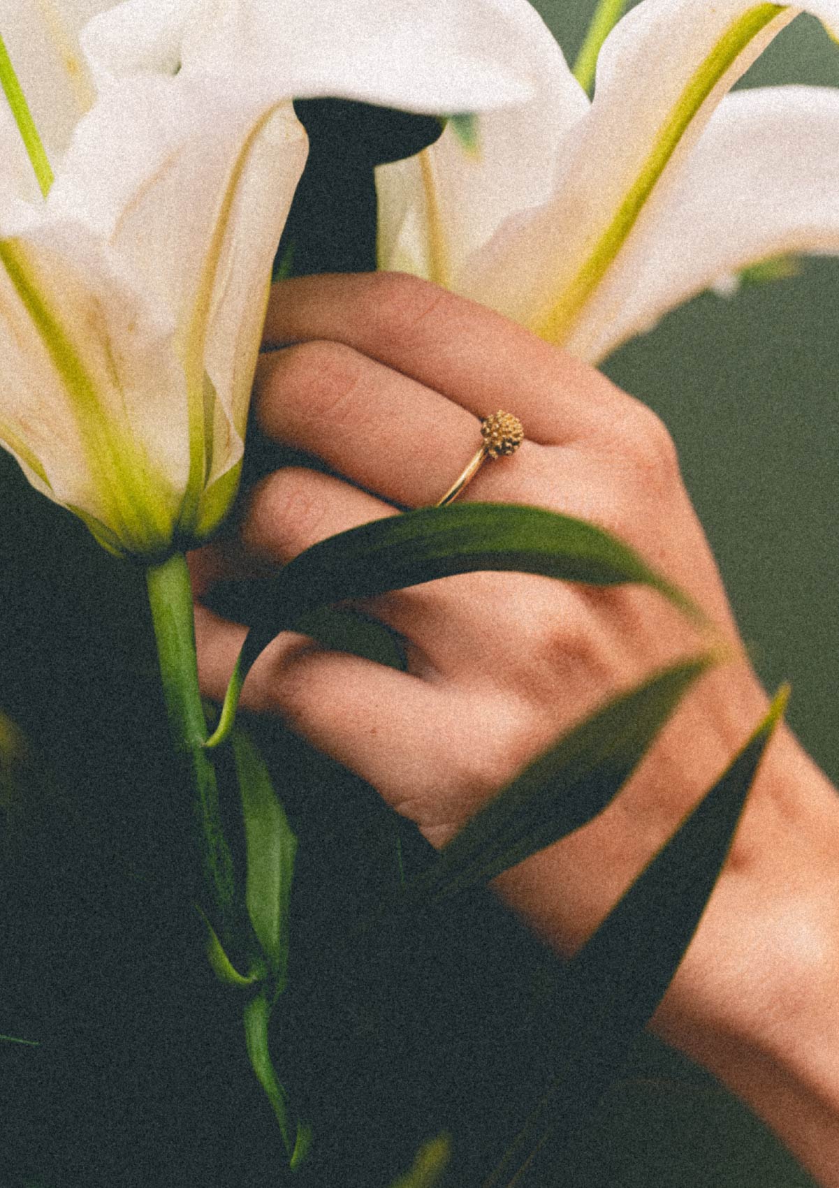 Anillo pequeño Amarant de plata con baño de oro amarillo