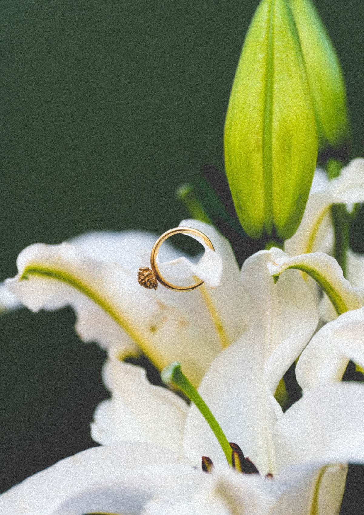 Anillo pequeño Amarant de plata con baño de oro amarillo