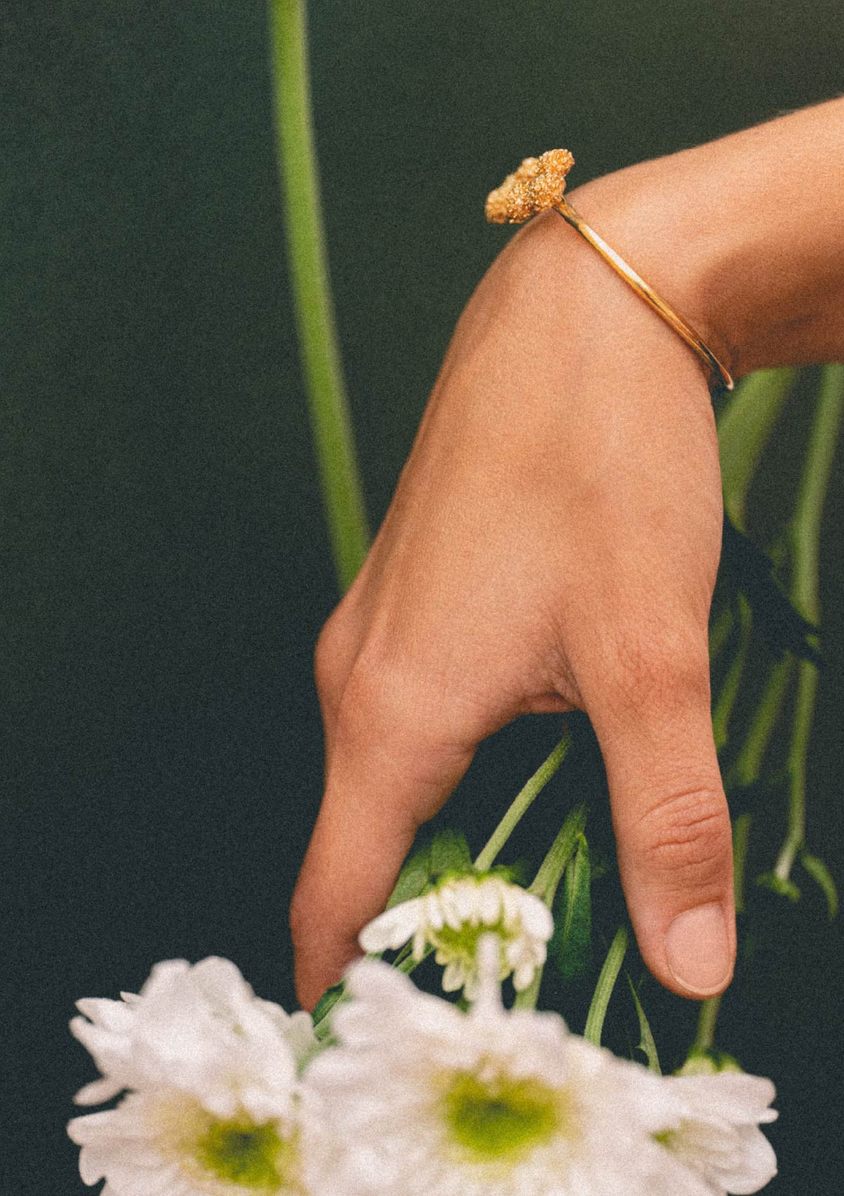 Brazalete Amarant de plata