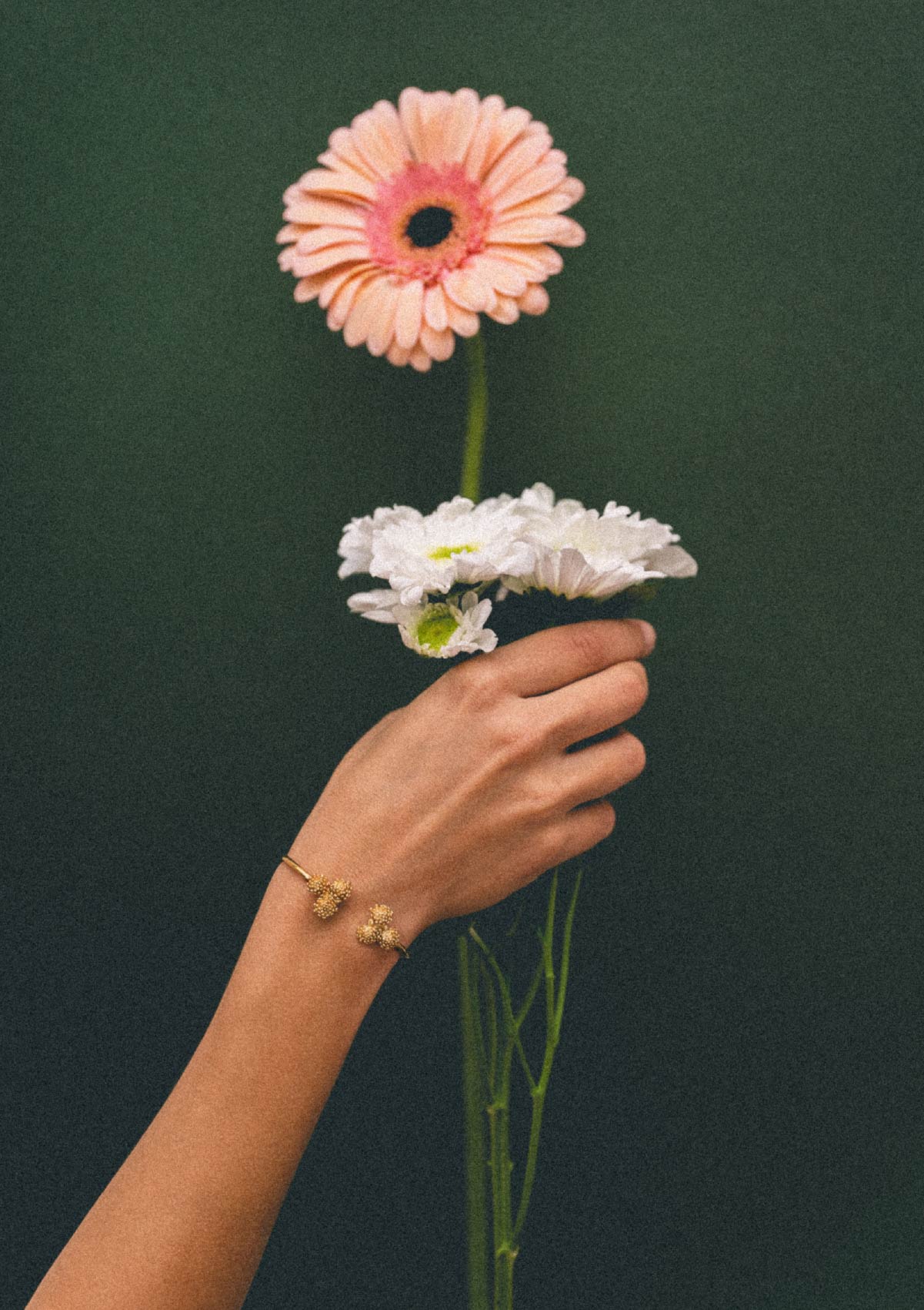 Brazalete Amarant de plata con baño de oro amarillo