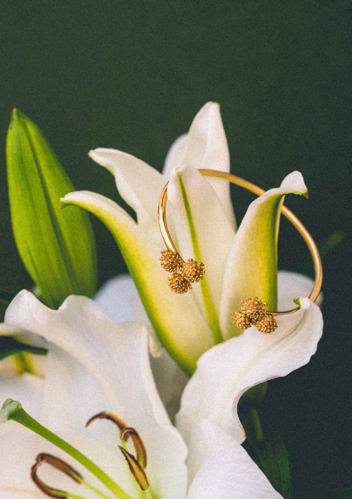 Brazalete Amarant de plata con baño de oro amarillo