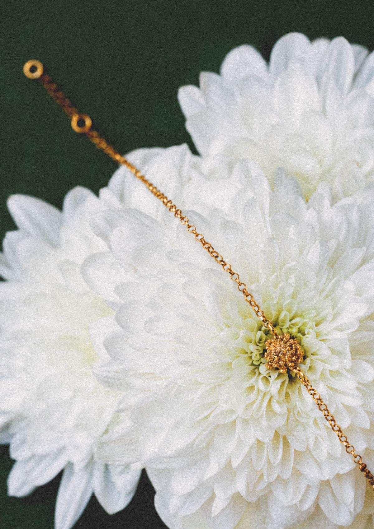 Pulsera pequeña Amarant de plata